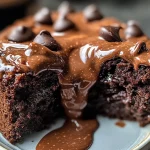Warm and Decadent Chocolate Pudding Cake