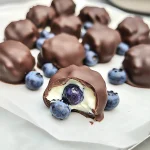 Keto TikTok Chocolate Covered Blueberry Yogurt Bites