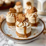 No Bake Mini Biscoff Cheesecakes