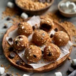 S'mores No Bake Protein Bites